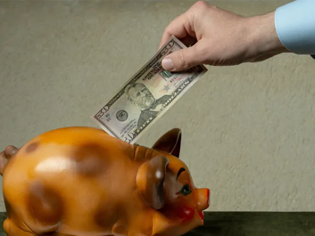 dollar vote